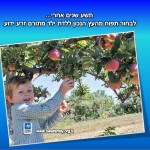 מ - מילון המשפחה החדשה