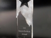 2009 InnovAction Award